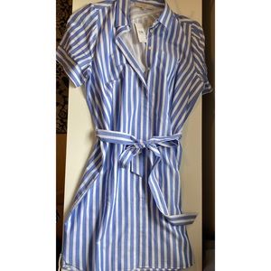 Loft Button Down Collared Dress